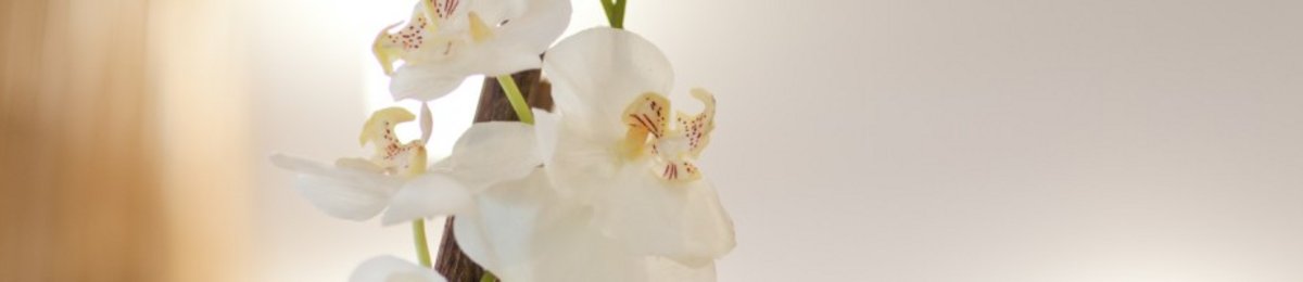 Plastische Chirurgie Freiburg, Gesichtschirurgie, Plastische Ästhetische Chirurgie , PD Dr.med. Matthias Voigt, Eigenfett, ambulatorische Eingriffe, Brustoperation, Rekonstruktion der Brust, kosmetische Operation, Praxis Plastische Chirurgie Freiburg, Gesichtschirurgie, Plastische Ästhetische Chirurgie , PD Dr.med. Matthias Voigt, Eigenfett, ambulatorische Eingriffe, Brustoperation, Rekonstruktion der Brust, kosmetische Operation, Praxis